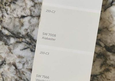 Sherwin Williams Pure White SW 7005 Color Swatch